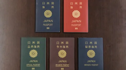 “宁波全运会乒乓球成年组资格赛门票正式发售，赛程详情同步公布”