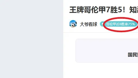 徐杨组合携手闯入WTA迪拜站女双八强