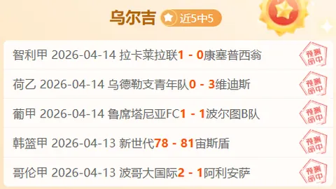大乐透期号专家推荐：附加赛青春VS经验对决